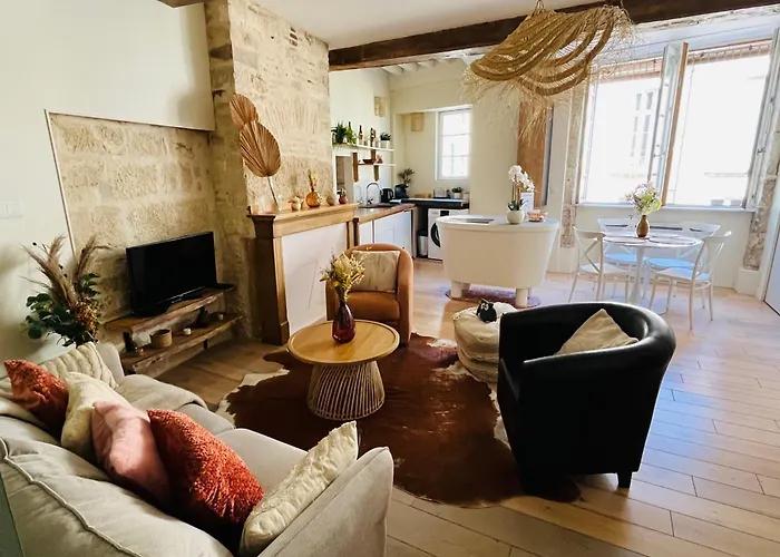 Appartement La Bohême Des Ducs - Homillesime Dijon