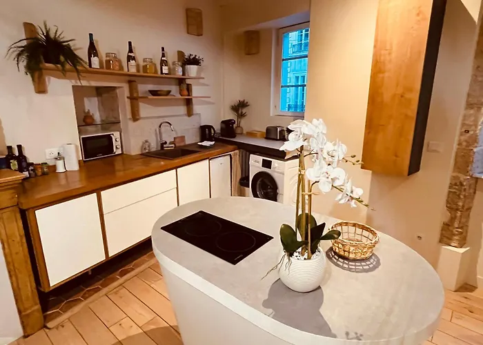 La Bohême Des Ducs - Homillesime Appartement Dijon